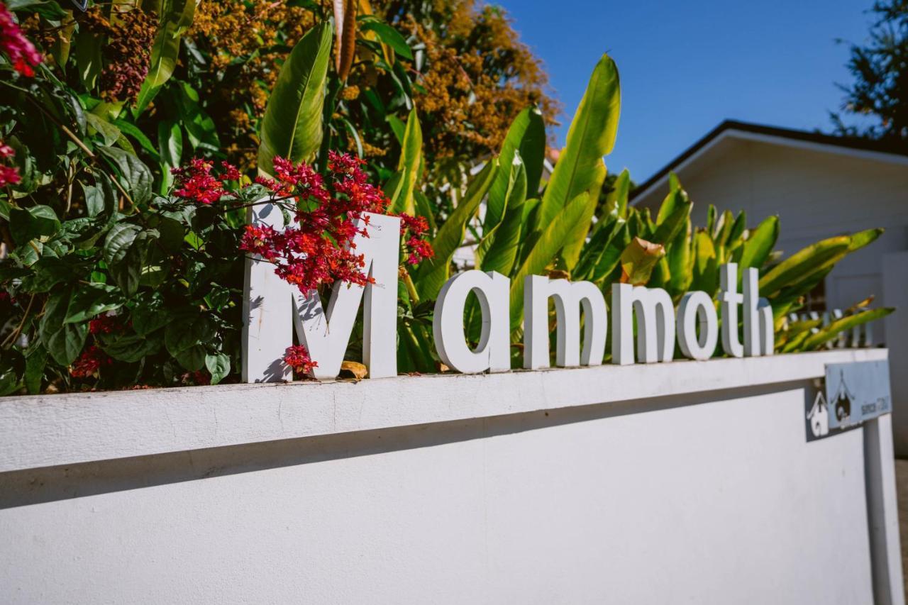 Mammoth Boutique Hotel Chiang Mai Ngoại thất bức ảnh